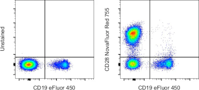 CD28 Monoclonal Antibody (CD28.2), NovaFluor™ Red 755