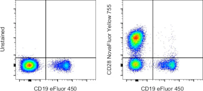 CD28 Monoclonal Antibody (CD28.2), NovaFluor™ Yellow 755