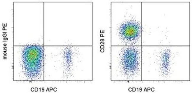 CD28 Monoclonal Antibody (CD28.2), PE, eBioscience