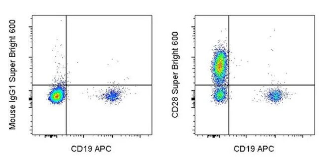 CD28 Monoclonal Antibody (CD28.2), Super Bright 600, eBioscience