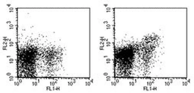 CD282 (TLR2) Monoclonal Antibody (6C2), PE, eBioscience