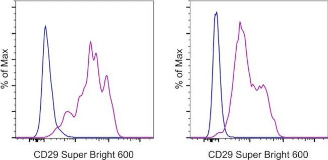 CD29 (Integrin beta 1) Monoclonal Antibody (TS2/16), Super Bright 600, eBioscience