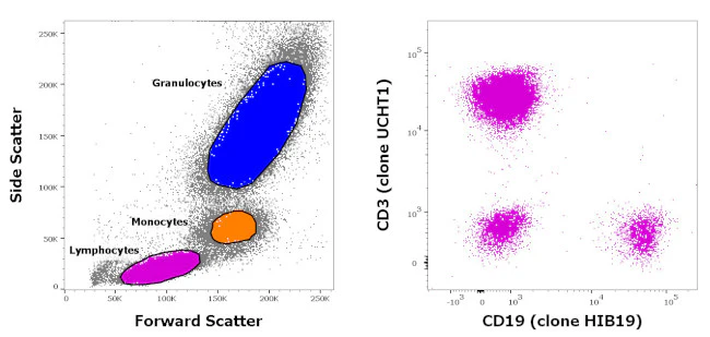 CD3/CD19 Antibody Cocktail, FITC, PE, eBioscience