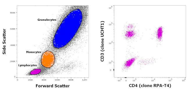 CD3/CD4 Antibody Cocktail, FITC, PE, eBioscience