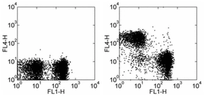 CD3 Monoclonal Antibody (17A2), Alexa Fluor 700, eBioscience