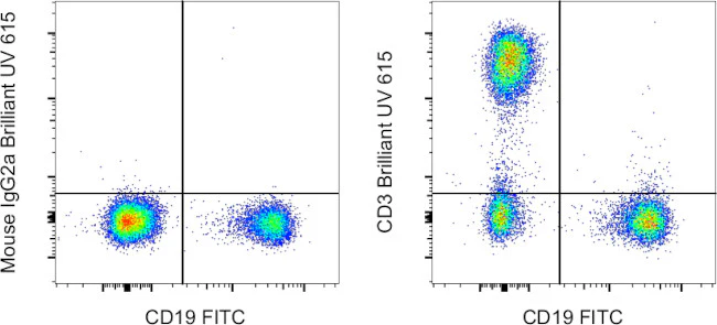 CD3 Monoclonal Antibody (OKT3), Brilliant Ultra Violet 615, eBioscience