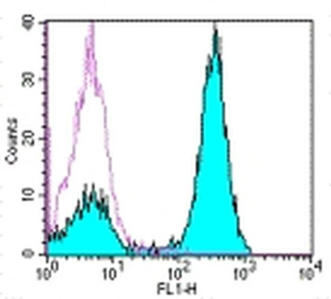 CD3 Monoclonal Antibody (OKT3), eBioscience
