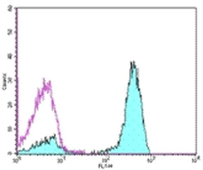 CD3 Monoclonal Antibody (OKT3), Functional Grade, eBioscience