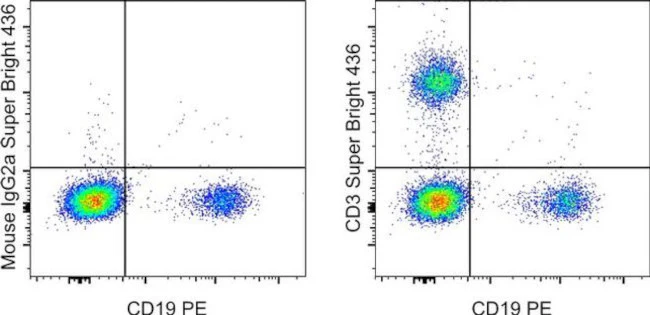 CD3 Monoclonal Antibody (OKT3), Super Bright™ 436