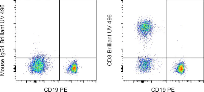 CD3 Monoclonal Antibody (SK7), Brilliant Ultra Violet™ 496, eBioscience™
