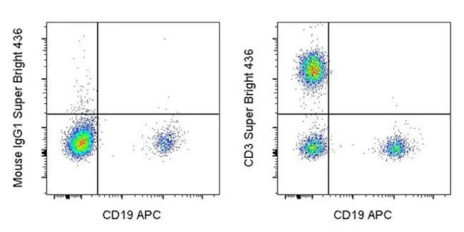 CD3 Monoclonal Antibody (SK7), Super Bright 436, eBioscience