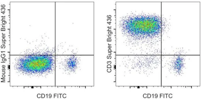 CD3 Monoclonal Antibody (UCHT1), Super Bright 436, eBioscience