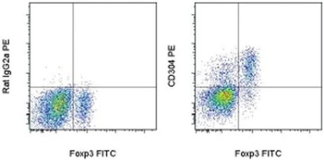 CD304 (Neuropilin-1) Monoclonal Antibody (3DS304M), PE, eBioscience