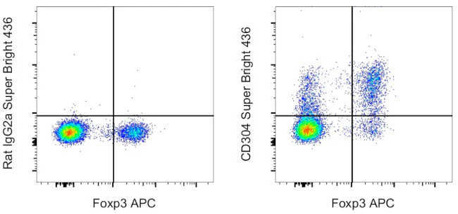 CD304 (Neuropilin-1) Monoclonal Antibody (3DS304M), Super Bright 436, eBioscience