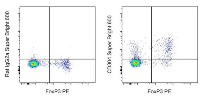 CD304 (Neuropilin-1) Monoclonal Antibody (3DS304M), Super Bright 600, eBioscience
