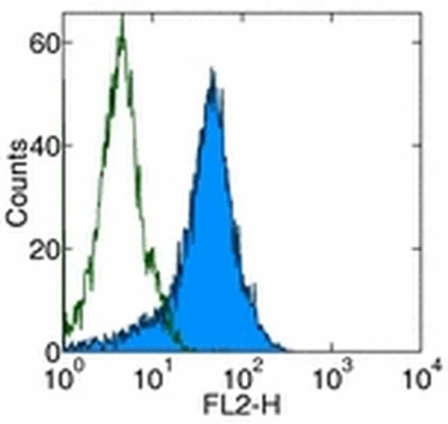 CD309 (FLK1) Monoclonal Antibody (Avas12a1), Biotin, eBioscience