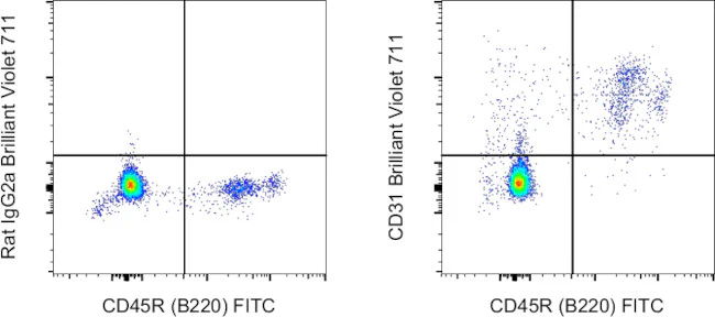 CD31 (PECAM-1) Monoclonal Antibody (390), Brilliant Violet™ 711