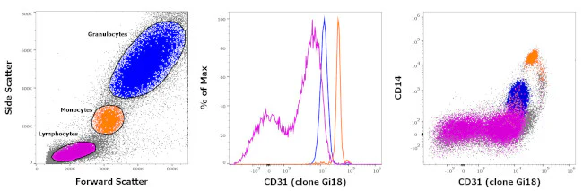 CD31 (PECAM-1) Monoclonal Antibody (Gi18), FITC, eBioscience