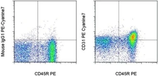 CD31 (PECAM-1) Monoclonal Antibody (TLD-3A12), PE-Cyanine7, eBioscience