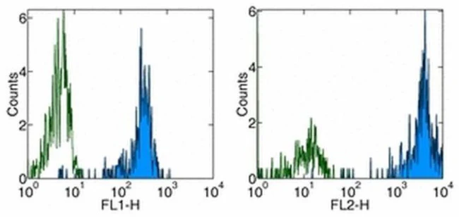 CD31 (PECAM-1) Monoclonal Antibody (WM-59 (WM59)), eBioscience
