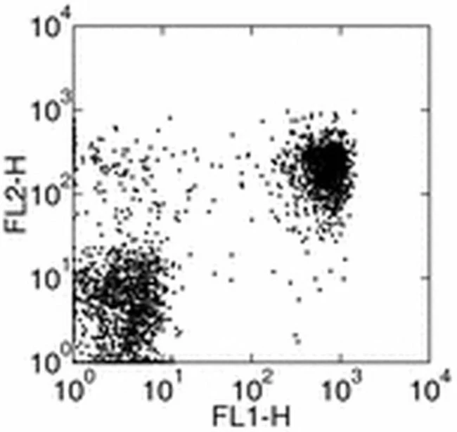 CD314 (NKG2D) Monoclonal Antibody (5C6), PE, eBioscience