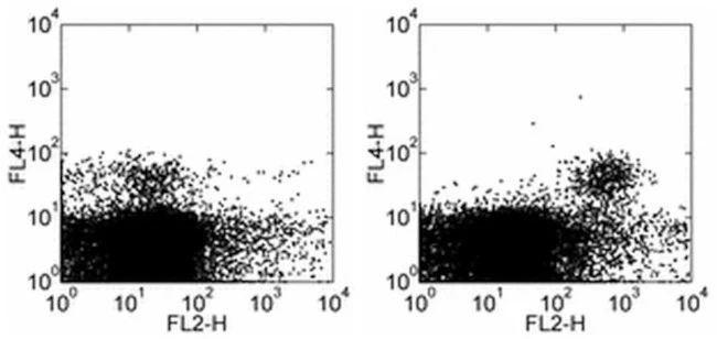 CD314 (NKG2D) Monoclonal Antibody (C7), Functional Grade, eBioscience