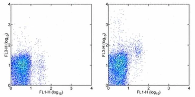 CD314 (NKG2D) Monoclonal Antibody (CX5), PE-Cyanine7, eBioscience