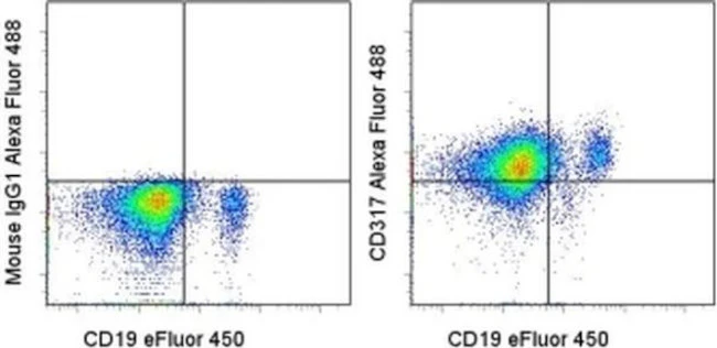 CD317 (BST2, PDCA-1) Monoclonal Antibody (26F8), Alexa Fluor 488, eBioscience