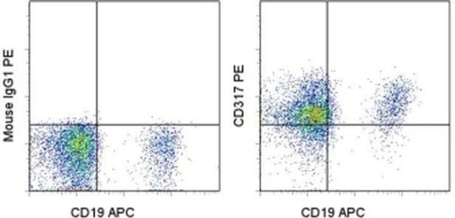CD317 (BST2, PDCA-1) Monoclonal Antibody (26F8), PE, eBioscience