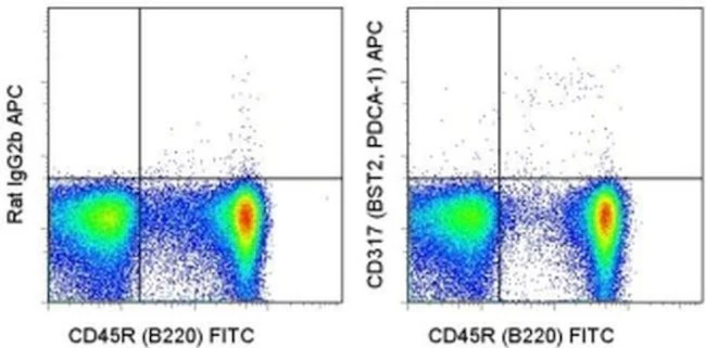 CD317 (BST2, PDCA-1) Monoclonal Antibody (eBio927), APC, eBioscience