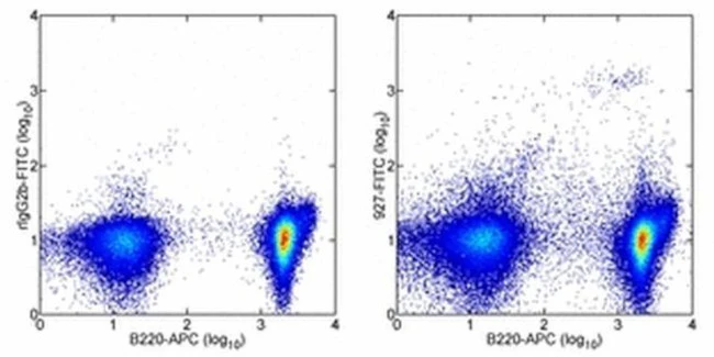 CD317 (BST2, PDCA-1) Monoclonal Antibody (eBio927), FITC, eBioscience