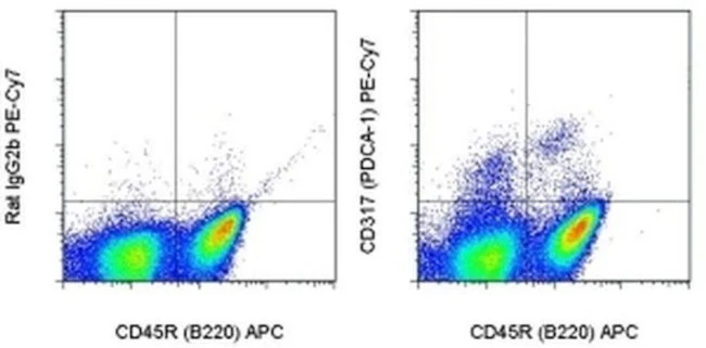 CD317 (BST2, PDCA-1) Monoclonal Antibody (eBio927), PE-Cyanine7, eBioscience