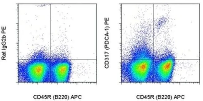 CD317 (BST2, PDCA-1) Monoclonal Antibody (eBio927), PE, eBioscience