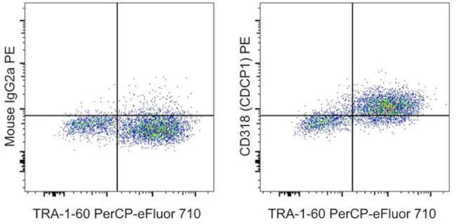 CD318 (CDCP1) Monoclonal Antibody (CSTEM26), PE, eBioscience