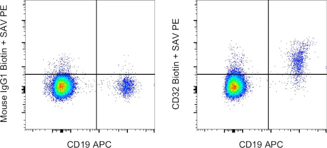 CD32 Monoclonal Antibody (6C4 (CD32)), Biotin, eBioscience