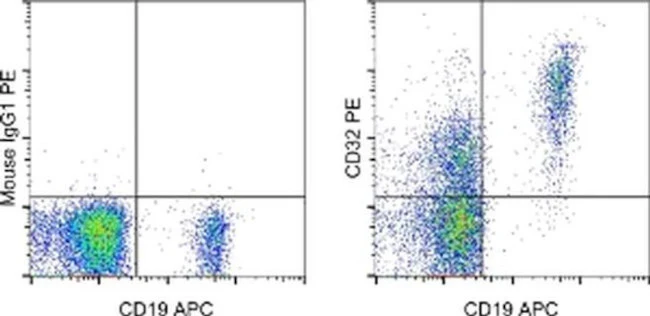 CD32 Monoclonal Antibody (6C4 (CD32)), PE, eBioscience