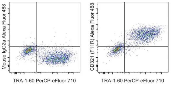 CD321 (F11R) Monoclonal Antibody (CSTEM27), Alexa Fluor 488, eBioscience