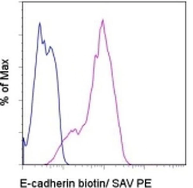 CD324 (E-Cadherin) Monoclonal Antibody (DECMA-1), Biotin, eBioscience