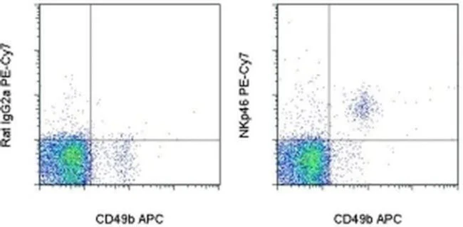 CD335 (NKp46) Monoclonal Antibody (29A1.4), PE-Cyanine7, eBioscience