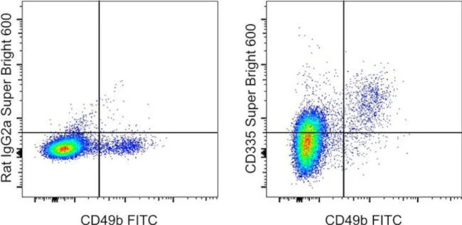 CD335 (NKp46) Monoclonal Antibody (29A1.4), Super Bright 600, eBioscience