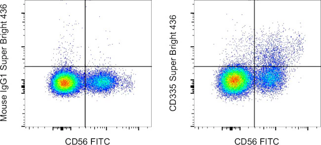 CD335 (NKp46) Monoclonal Antibody (9E2), Super Bright™ 436