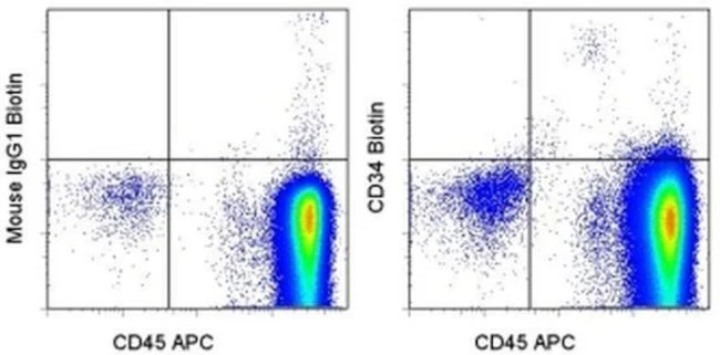 CD34 Monoclonal Antibody (4H11), Biotin, eBioscience