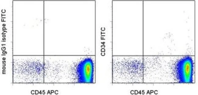 CD34 Monoclonal Antibody (4H11), FITC, eBioscience