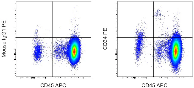 CD34 Monoclonal Antibody (4H11), PE, eBioscience