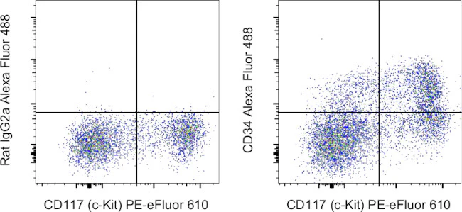 CD34 Monoclonal Antibody (RAM34), Alexa Fluor 488, eBioscience