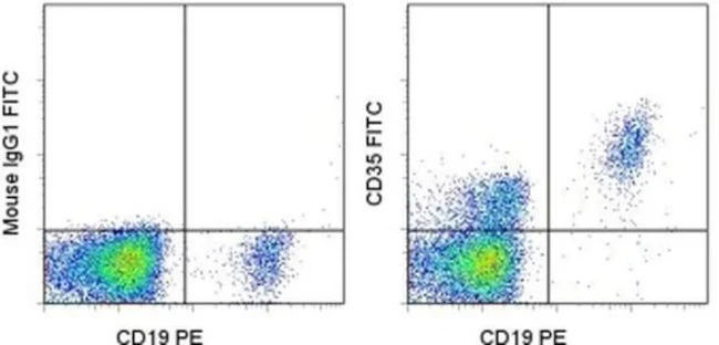 CD35 Monoclonal Antibody (E11), FITC, eBioscience