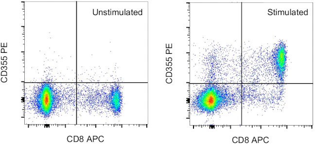 CD355 (CRTAM) Monoclonal Antibody (Cr24.1), PE, eBioscience
