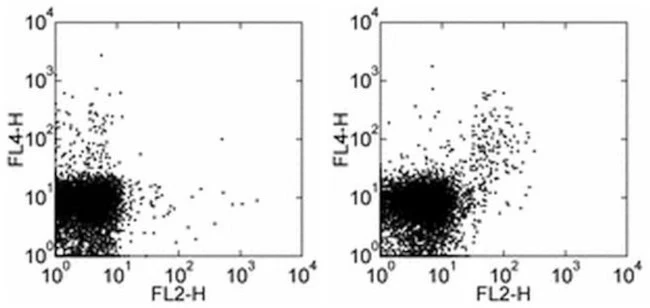 CD357 (AITR/GITR) Monoclonal Antibody (DTA-1), Biotin, eBioscience