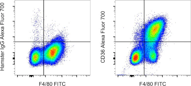 CD36 Monoclonal Antibody (HM36), Alexa Fluor 700, eBioscience