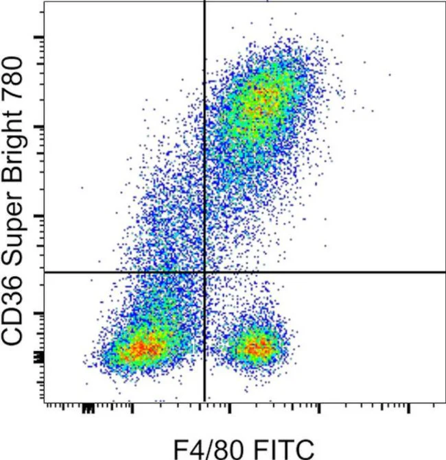 CD36 Monoclonal Antibody (HM36), Super Bright 780, eBioscience